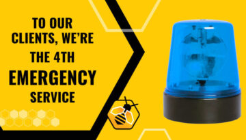 fourth emergency service- news
