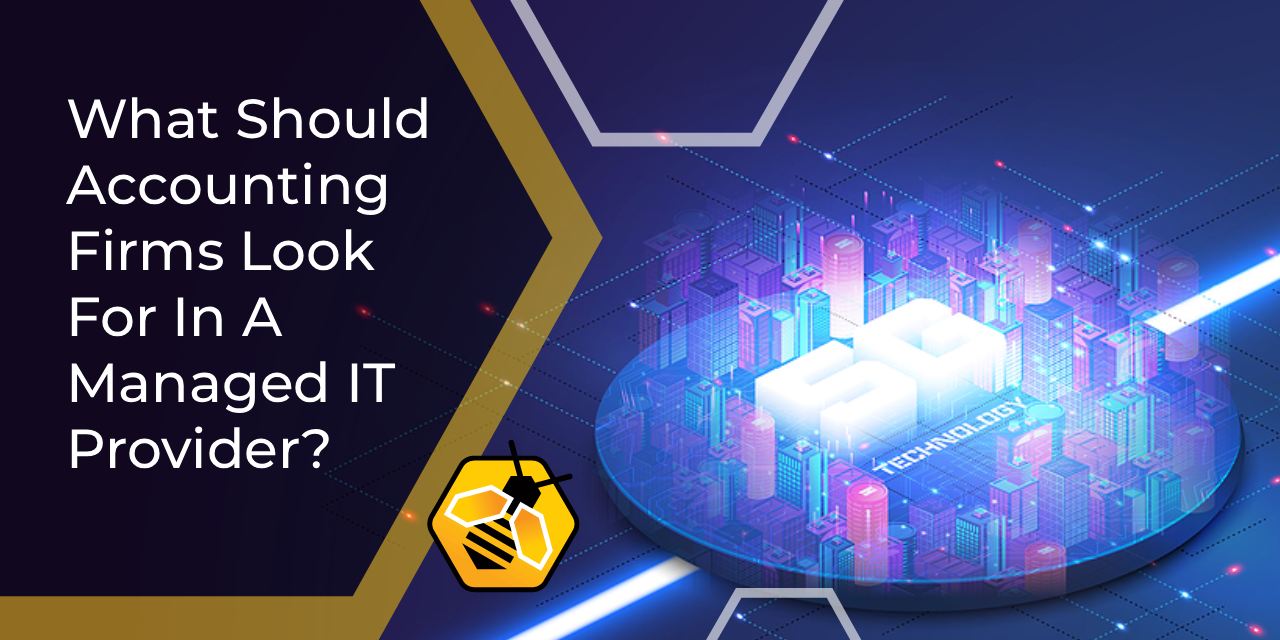 IT support for accounting firms