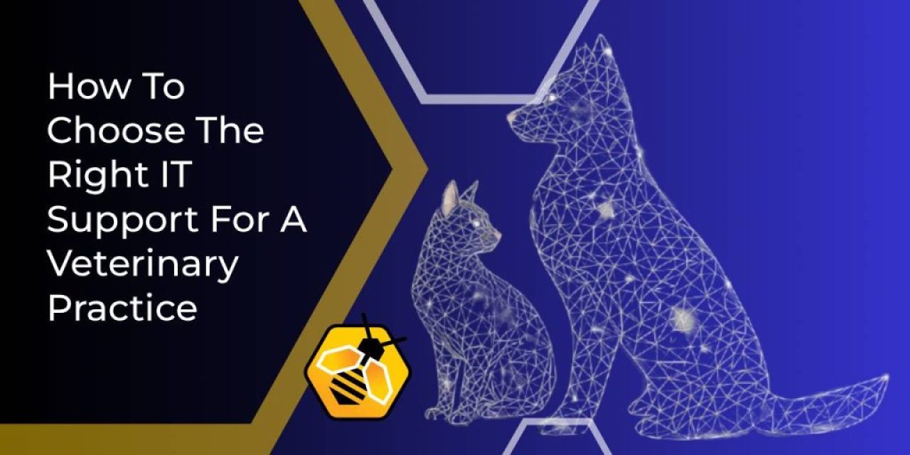 IT support for a veterinary practice