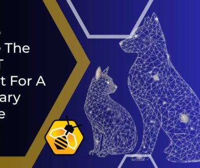IT support for a veterinary practice